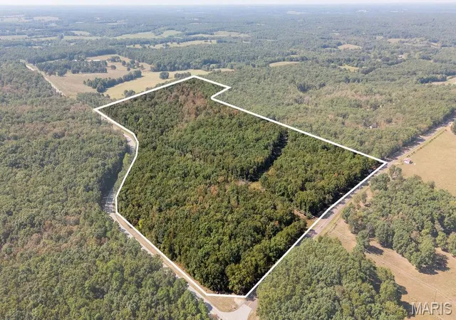 Photo 1 of Land for sale at 000 State Route Jj, Salem, MO 65560 | MLS# MIS26059808 | Listing updated on 2026-09-19