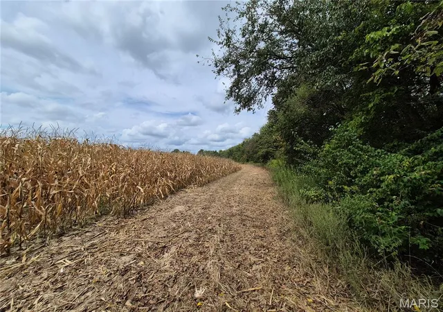 Photo 3 of Sale Pending at 0 Russell Rd (tract 5 2480+/ Acres), Troy, MO 63379 | MLS# MIS26060016 | Listing updated on 2026-09-23
