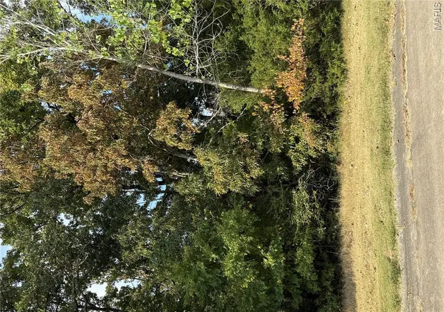 Photo 1 of Land for sale at 35 Brownwood Ct, Poplar Bluff, MO 63901 | MLS# MIS26060327 | Listing updated on 2026-09-21