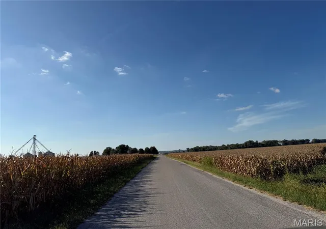 Photo 3 of Land for sale at 00 Bluff Rd, Columbia, IL 62236 | MLS# MIS26060364 | Listing updated on 2026-09-21