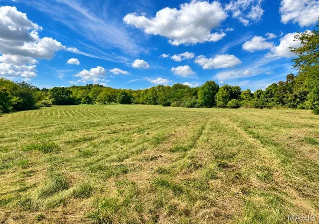 Photo 3 of Land for sale at 0 Tract 3 424 Ac County Rd 4008, Holts Summit, MO 65043 | MLS# MIS26060366 | Listing updated on 2026-09-26