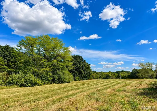 Photo 4 of Land for sale at 0 Tract 3 424 Ac County Rd 4008, Holts Summit, MO 65043 | MLS# MIS26060366 | Listing updated on 2026-09-26