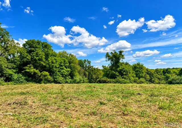 Photo 3 of Land for sale at 0 Tract 4 527 Ac County Rd 4008, Holts Summit, MO 65043 | MLS# MIS26060368 | Listing updated on 2026-09-26