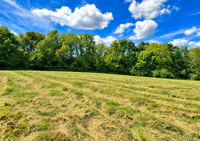 Photo 3 of Land for sale at 0 Tract 4 527 Ac County Rd 4008, Holts Summit, MO 65043 | MLS# MIS26060368 | Listing updated on 2026-09-26