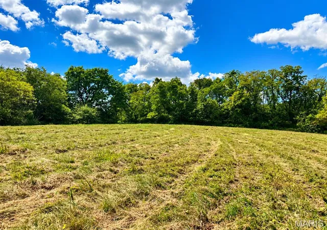 Photo 4 of Land for sale at 0 Tract 4 527 Ac County Rd 4008, Holts Summit, MO 65043 | MLS# MIS26060368 | Listing updated on 2026-09-26
