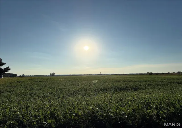 Photo 16 of Land for sale at 000 Bluff Rd, Valmeyer, IL 62295 | MLS# MIS26060374 | Listing updated on 2026-09-21