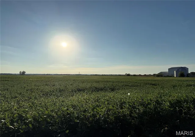 Photo 3 of Land for sale at 000 Bluff Rd, Valmeyer, IL 62295 | MLS# MIS26060374 | Listing updated on 2026-09-21