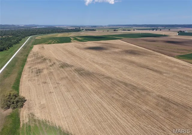 Photo 2 of Land for sale at 00 Levee Rd, Fults, IL 62244 | MLS# MIS26060376 | Listing updated on 2026-09-21