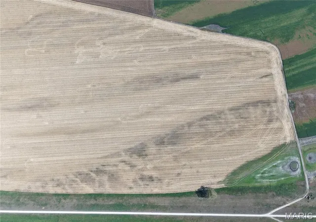 Photo 4 of Land for sale at 00 Levee Rd, Fults, IL 62244 | MLS# MIS26060376 | Listing updated on 2026-09-21