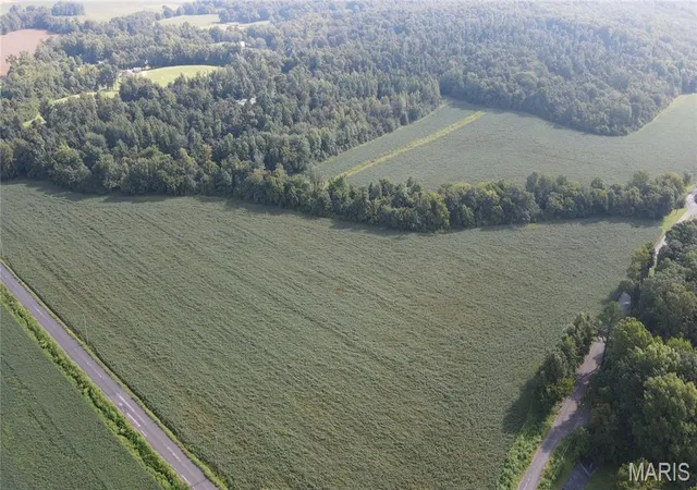Photo 1 of Land for sale at (Undisclosed), Advance, MO 63730 | MLS# MIS26060407 | Listing updated on 2026-09-18