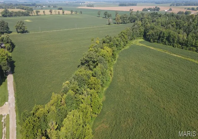 Photo 3 of Land for sale at (Undisclosed), Advance, MO 63730 | MLS# MIS26060407 | Listing updated on 2026-09-18