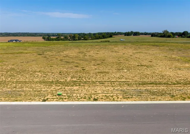 Photo 3 of Land for sale at 207 Birchwood Dr, Edwardsville, IL 62025 | MLS# MIS26060483 | Listing updated on 2026-10-02