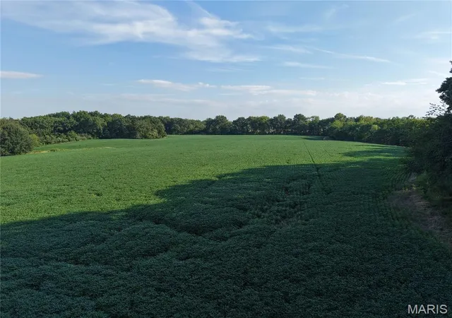 Photo 2 of Land for sale at 00 Wesbecher Rd, Ellis Grove, IL 62241 | MLS# MIS26060594 | Listing updated on 2026-10-15