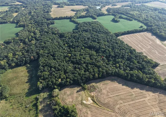 Photo 3 of Land for sale at 00 Wesbecher Rd, Ellis Grove, IL 62241 | MLS# MIS26060594 | Listing updated on 2026-10-15