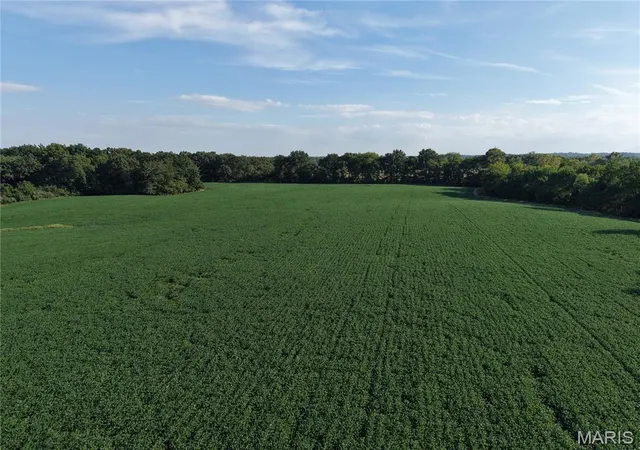 Photo 3 of Land for sale at 00 Wesbecher Rd, Ellis Grove, IL 62241 | MLS# MIS26060594 | Listing updated on 2026-10-15