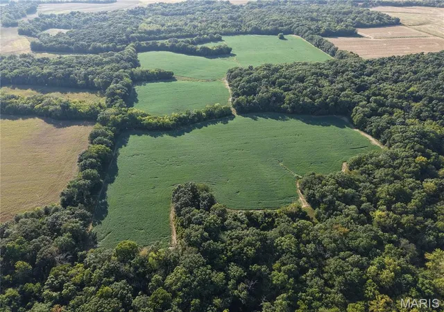 Photo 4 of Land for sale at 00 Wesbecher Rd, Ellis Grove, IL 62241 | MLS# MIS26060594 | Listing updated on 2026-10-15