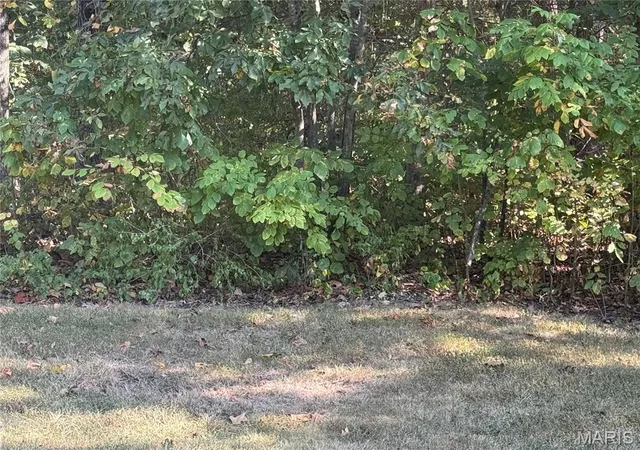 Photo 1 of Land for sale at 0b St Francois, Bonne Terre, MO 63628 | MLS# MIS26060718 | Listing updated on 2026-09-28