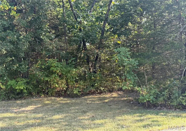 Photo 2 of Land for sale at 0b St Francois, Bonne Terre, MO 63628 | MLS# MIS26060718 | Listing updated on 2026-09-28