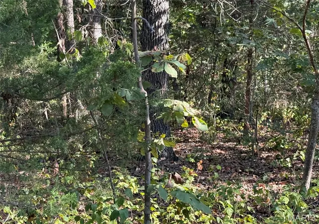 Photo 3 of Land for sale at 0b St Francois, Bonne Terre, MO 63628 | MLS# MIS26060718 | Listing updated on 2026-09-28