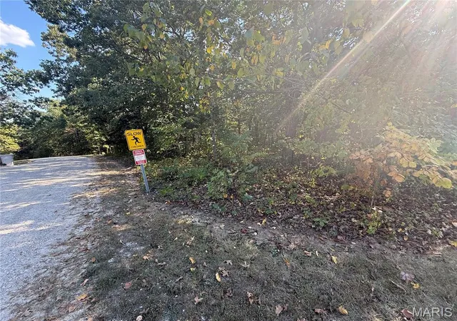 Photo 3 of Land for sale at 0b St Francois, Bonne Terre, MO 63628 | MLS# MIS26060718 | Listing updated on 2026-09-28