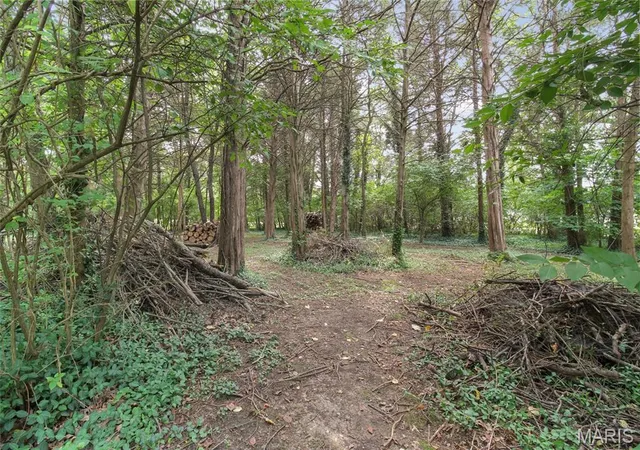 Photo 3 of Single family home for sale at 137 Christland Dr, Sullivan, MO 63080 | MLS# MIS26060719 | Listing updated on 2026-10-10