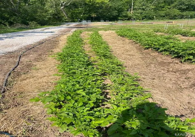 Photo 3 of Land for sale at 2461 Hwy F, Defiance, MO 63341 | MLS# MIS26060861 | Listing updated on 2026-10-12