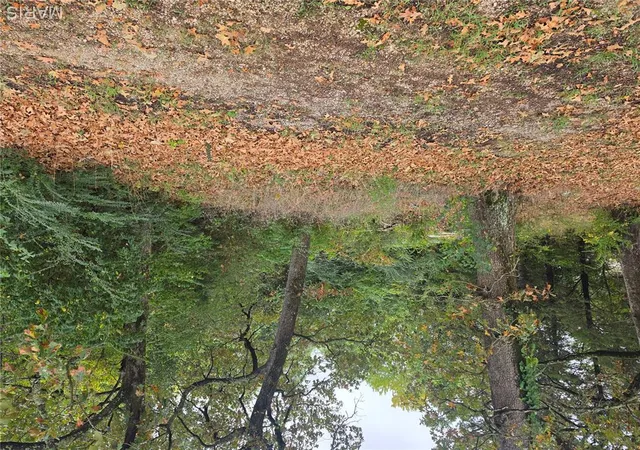 Photo 2 of Land for sale at 920 Davis St, Poplar Bluff, MO 63901 | MLS# MIS26060866 | Listing updated on 2026-09-25