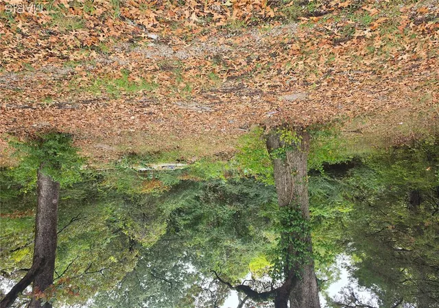 Photo 3 of Land for sale at 920 Davis St, Poplar Bluff, MO 63901 | MLS# MIS26060866 | Listing updated on 2026-09-25