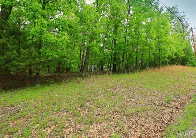 Photo 2 of Land for sale at 782 Village Green Dr, Marthasville, MO 63357 | MLS# MIS26060915 | Listing updated on 2026-09-22