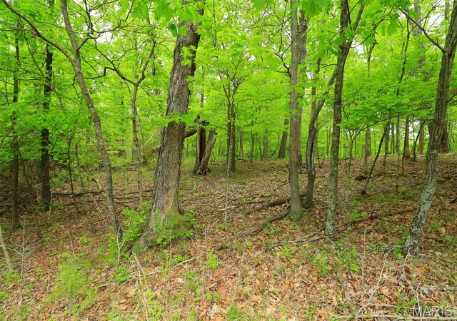 Photo 3 of Land for sale at 782 Village Green Dr, Marthasville, MO 63357 | MLS# MIS26060915 | Listing updated on 2026-09-22