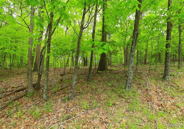 Photo 3 of Land for sale at 782 Village Green Dr, Marthasville, MO 63357 | MLS# MIS26060915 | Listing updated on 2026-09-22
