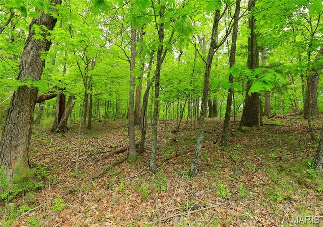 Photo 4 of Land for sale at 782 Village Green Dr, Marthasville, MO 63357 | MLS# MIS26060915 | Listing updated on 2026-09-22