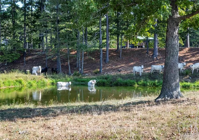 Photo 3 of Land for sale at 00 Highway 72, Bunker, MO 63629 | MLS# MIS26060960 | Listing updated on 2026-09-28