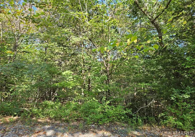 Photo 1 of Land for sale at 9488 Bent Tree Dr, Hillsboro, MO 63050 | MLS# MIS26061092 | Listing updated on 2026-09-22