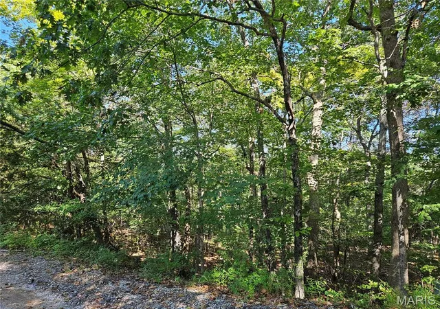 Photo 2 of Land for sale at 9488 Bent Tree Dr, Hillsboro, MO 63050 | MLS# MIS26061092 | Listing updated on 2026-09-22