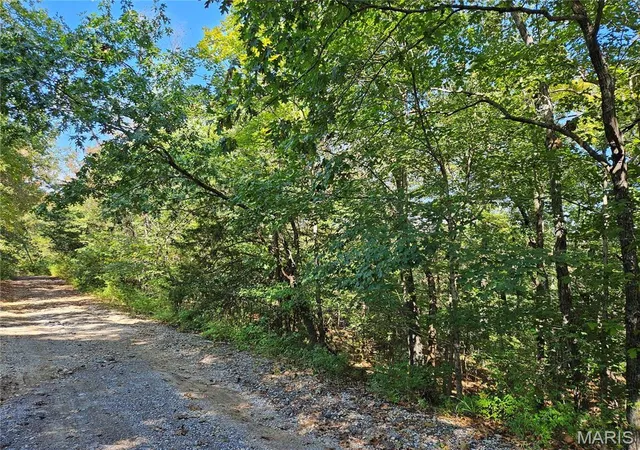 Photo 3 of Land for sale at 9488 Bent Tree Dr, Hillsboro, MO 63050 | MLS# MIS26061092 | Listing updated on 2026-09-22