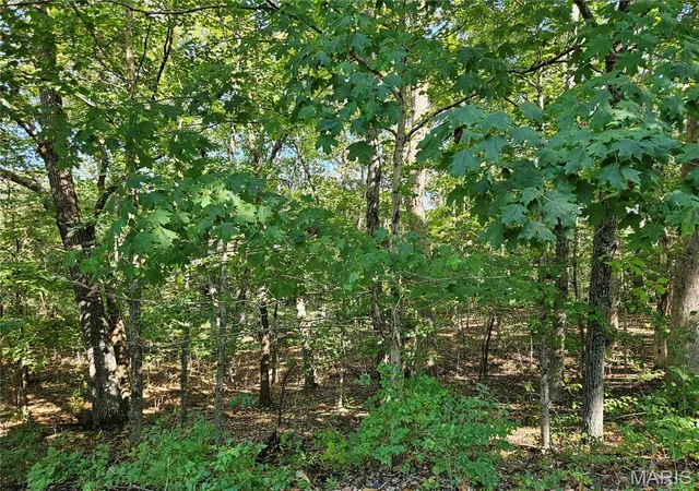 Photo 3 of Land for sale at 9488 Bent Tree Dr, Hillsboro, MO 63050 | MLS# MIS26061092 | Listing updated on 2026-09-22