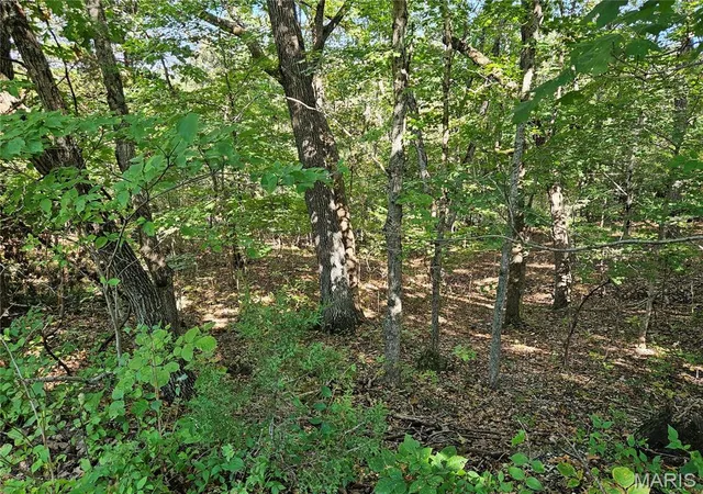 Photo 4 of Land for sale at 9488 Bent Tree Dr, Hillsboro, MO 63050 | MLS# MIS26061092 | Listing updated on 2026-09-22