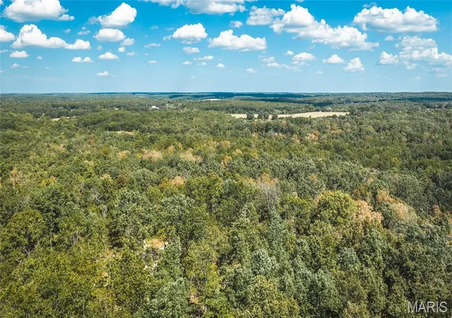 Land for sale at 000 County Rd 2150, Edgar Springs, MO 65462 | MLS# MIS26061153