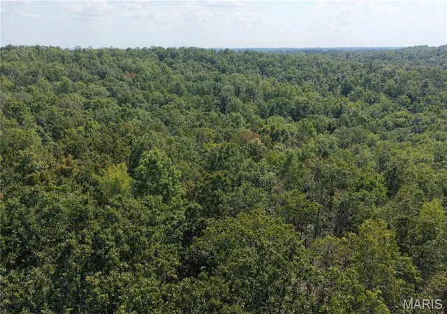 Photo 4 of Sale Pending at 76 Garfield Dr, Zalma, MO 63787 | MLS# MIS26061208 | Listing updated on 2026-10-05