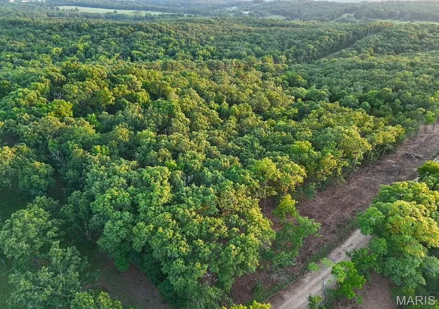 Photo 4 of Sale Pending at Tbd 006 M Cantrell Rd, Mansfield, MO 65704 | MLS# MIS26061249 | Listing updated on 2026-09-29
