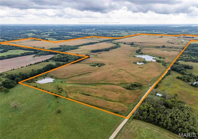 Photo 1 of Land for sale at 00 Golden Ave, Callao, MO 63534 | MLS# MIS26061298 | Listing updated on 2026-09-22