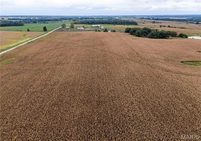 Photo 2 of Land for sale at 00 Golden Ave, Callao, MO 63534 | MLS# MIS26061298 | Listing updated on 2026-09-22