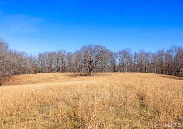 Photo 2 of Land for sale at 5880 Bcr 803, Glenallen, MO 63751 | MLS# MIS26061301 | Listing updated on 2026-09-29
