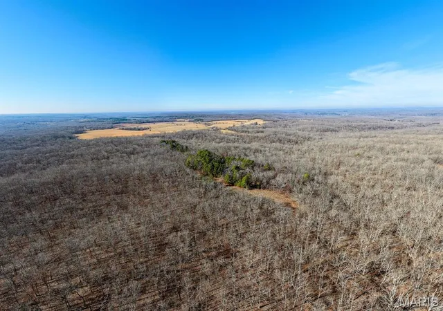 Photo 3 of Land for sale at 5880 Bcr 803, Glenallen, MO 63751 | MLS# MIS26061301 | Listing updated on 2026-09-29