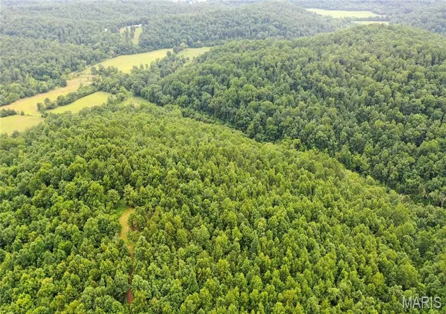 Land for sale at 0 Tract 11 Private Ln 550, Salem, MO 65560 | MLS# MIS26061353