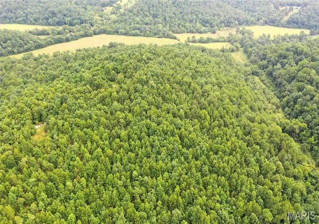Photo 2 of Land for sale at 0 Tract 11 Private Ln 550, Salem, MO 65560 | MLS# MIS26061353 | Listing updated on 2026-09-30