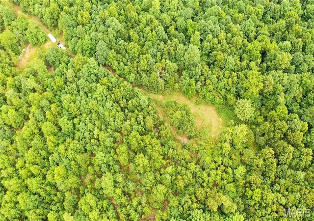 Photo 3 of Land for sale at 0 Tract 11 Private Ln 550, Salem, MO 65560 | MLS# MIS26061353 | Listing updated on 2026-09-30