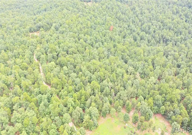 Photo 4 of Land for sale at 0 Tract 11 Private Ln 550, Salem, MO 65560 | MLS# MIS26061353 | Listing updated on 2026-09-30