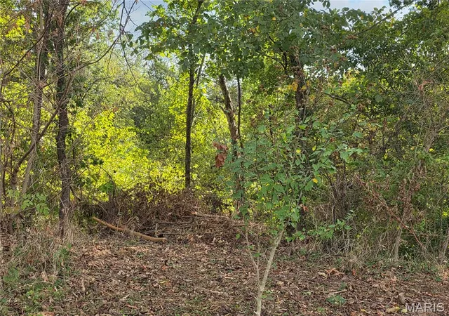 Photo 1 of Sale Pending at Xxx Bluff Cir, Waynesville, MO 65583 | MLS# MIS26061362 | Listing updated on 2026-10-02